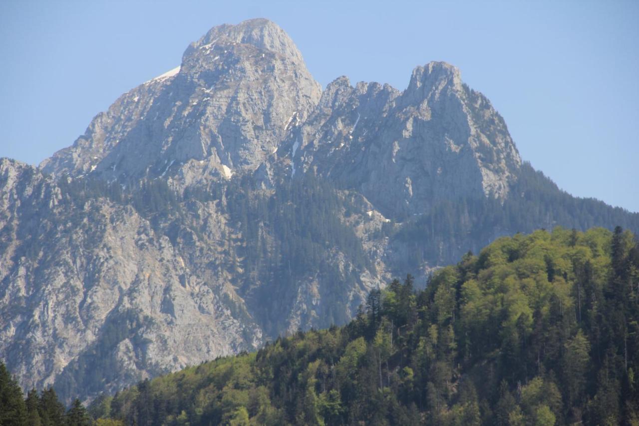 Blockhaus Saeuling - Haus Elise Apartments Füssen Zewnętrze zdjęcie