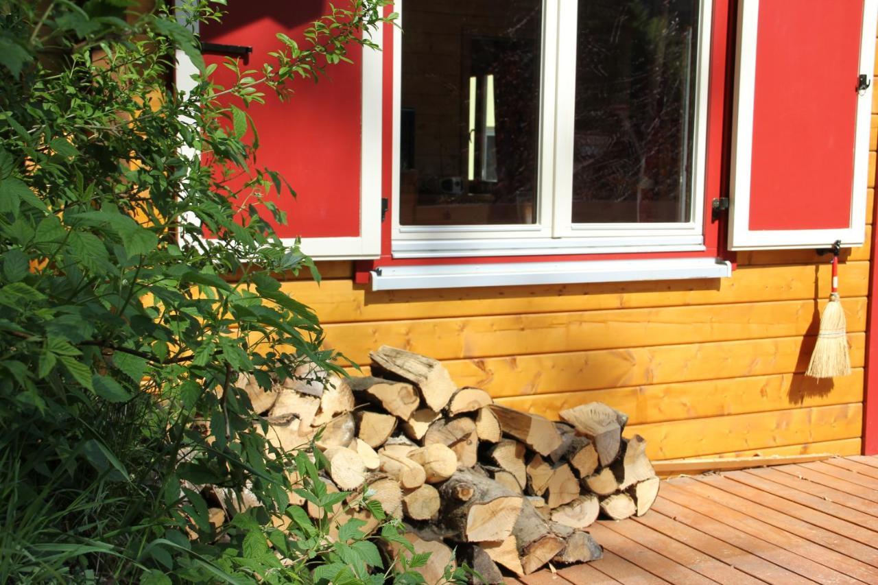 Blockhaus Saeuling - Haus Elise Apartments Füssen Zewnętrze zdjęcie